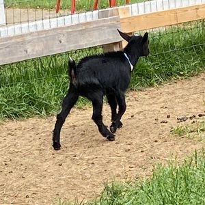 Meet your Posher, Karinna